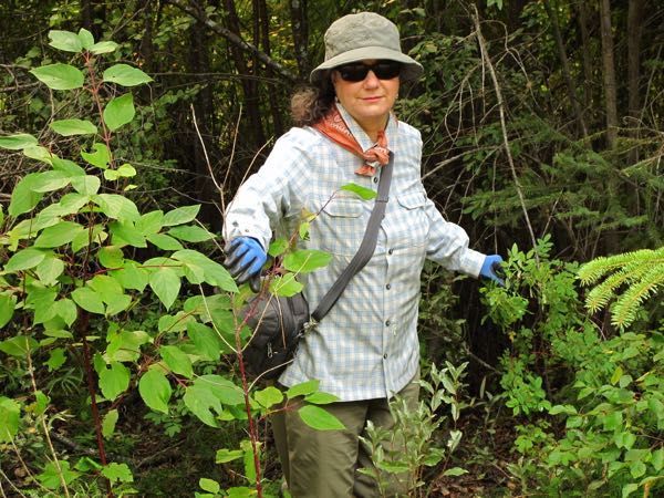 What is the best thing to wear to repel mosquitoes?